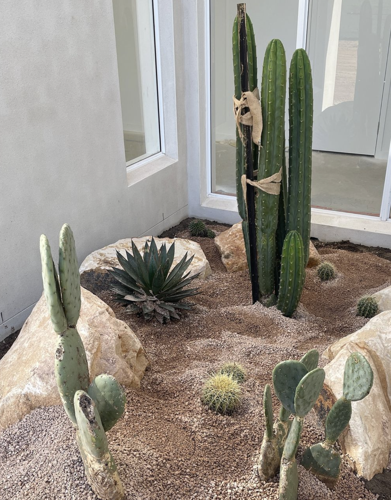 Minimalist Cacti House